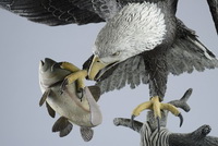 Trout and head detail on 'The Eagle Has Landed' bronze sculpture by Miles Tucker.