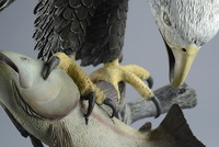 Some of the talon detail on 'The Eagle Has Landed' bronze sculpture by Miles Tucker.