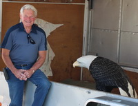 A handpainted redwood eagle sculpture by Miles Tucker.